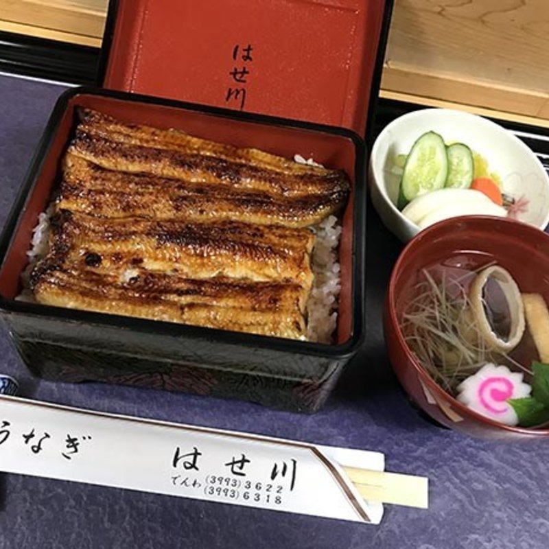 うな重・特(うなぎ はせ川)