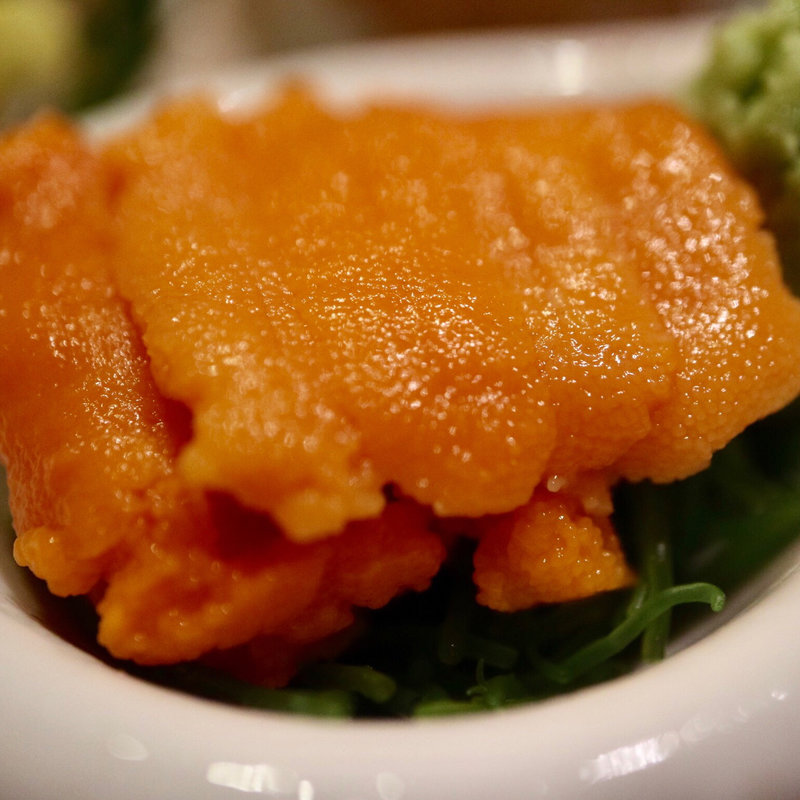 ウニ(下田大和館 （しもだやまとかん）)