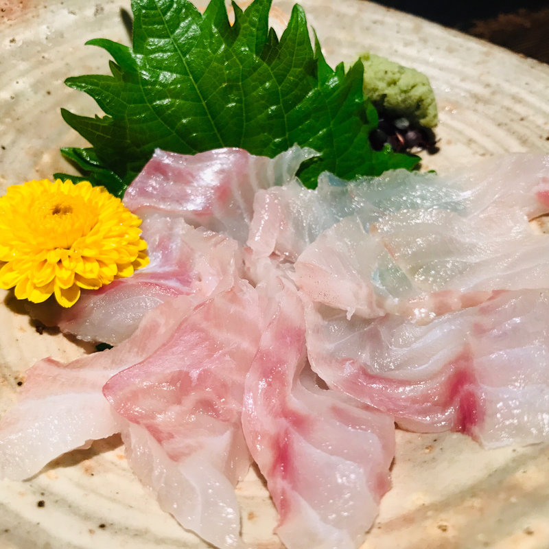 天然あこう(阿吽 )