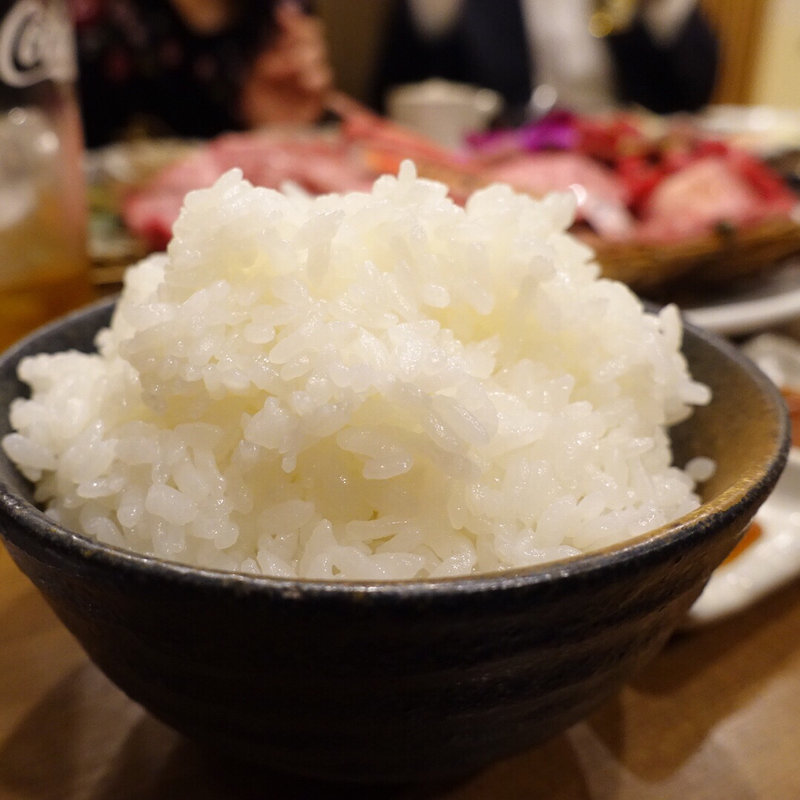 ライス（大）(焼肉乙ちゃん 本店)