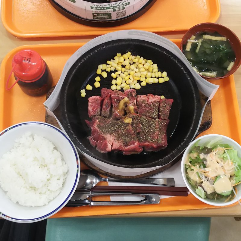 ワイルドジューシーカットステーキ(300g)(ペッパーランチ 島忠ホームズ川崎大師店)