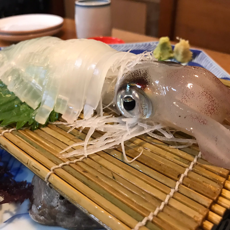 イカ刺し(割烹よし田 )