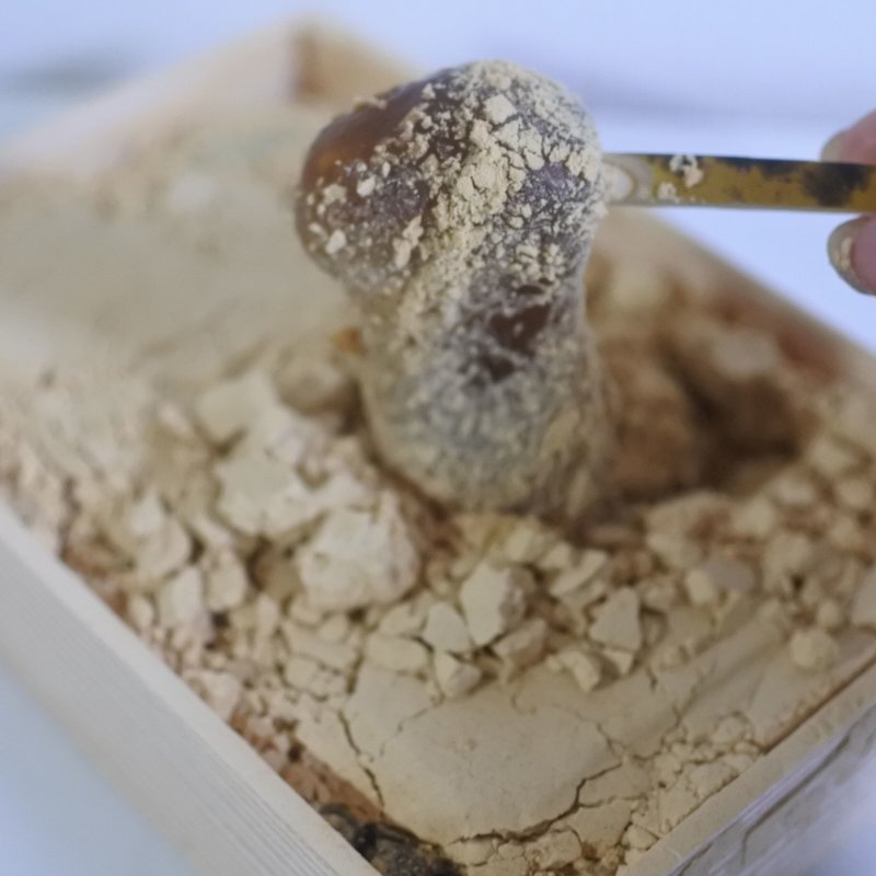 黄金わらび餅(ツバメヤ 大名古屋ビルヂング店)