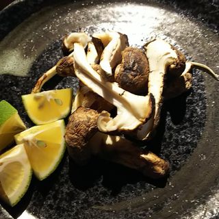 松茸(海鮮食BAR ichie)