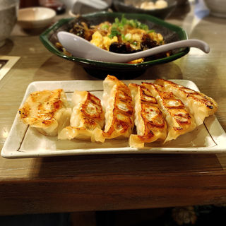 焼き餃子6個(野方ホープ 中目黒店 )