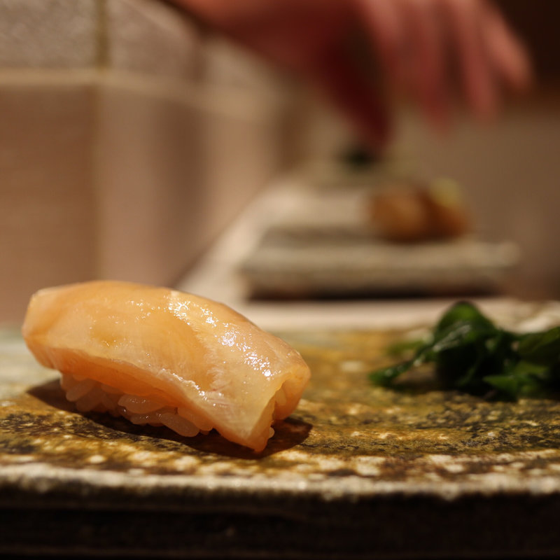 シラカワ(海味 （うみ）)