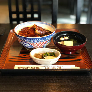 うなぎ丼(うなぎ 日本料理 堀場屋)