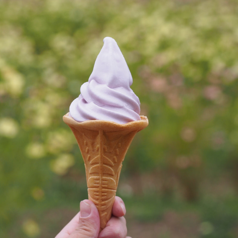 ラベンダーソフト(神戸布引ハーブ園)