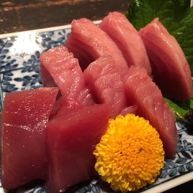 迷いカツオ(阿吽 )