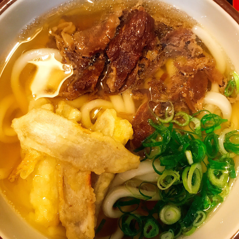 ゴボウ天肉うどん(本格手打ちうどん・そば処 山岐庵)