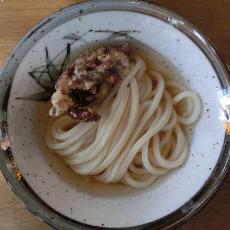 かけうどん+イイダコ天(長楽製麺所)