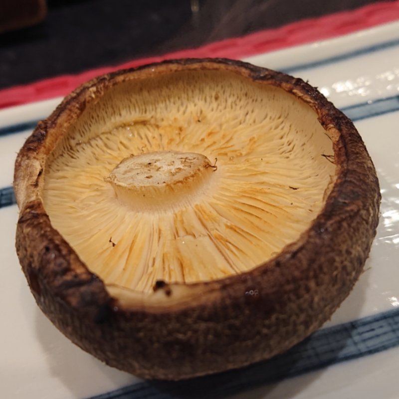 しいたけ(とりの館)