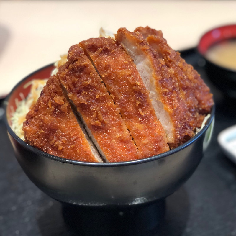 ソースかつ丼(明治亭 長野駅店 )