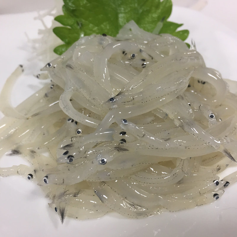 白魚刺し(赤城)