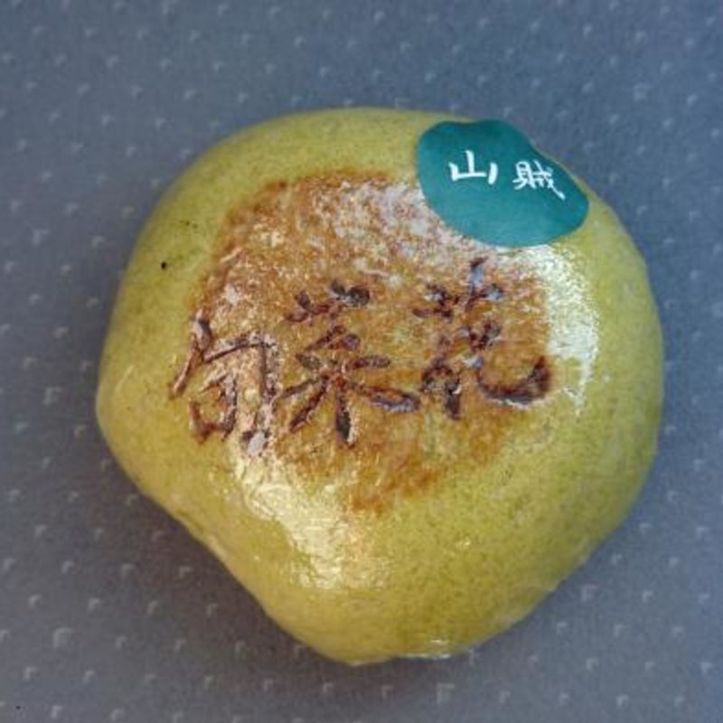 山賊おやき(道の駅 今井恵みの里)