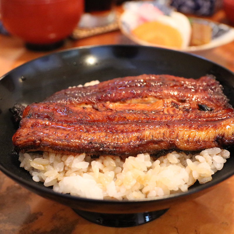 うな重半分（子供用）(友栄 （ともえい）)