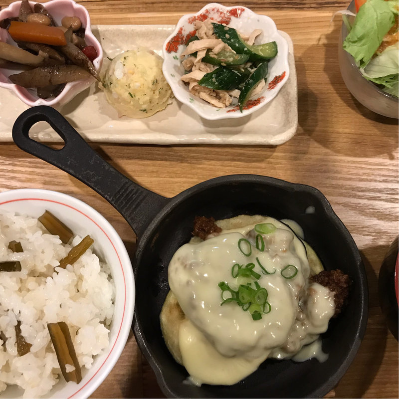 ランチ(コビトカバ)