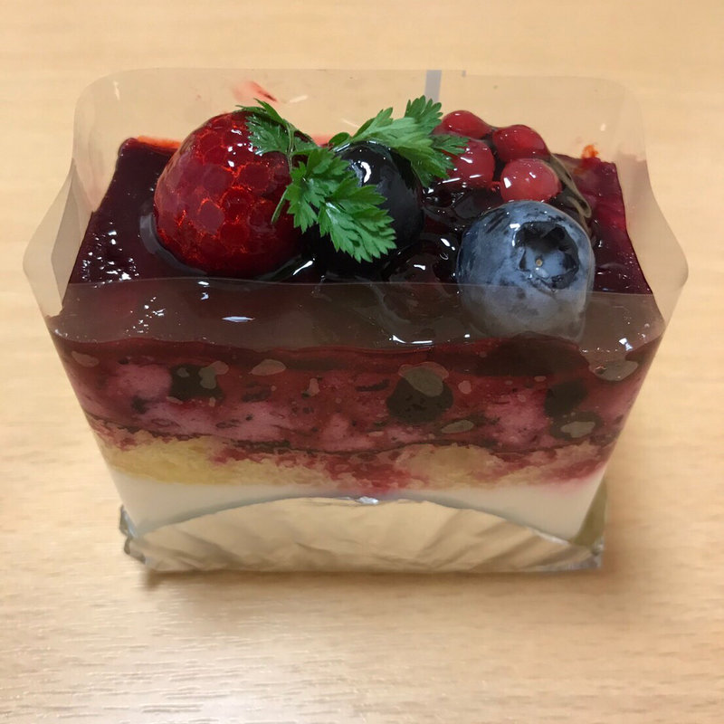 ブルーベリーヨーグルト(１２ヶ月)