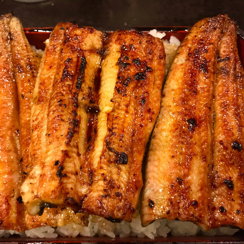 鰻重 特上(ひょうたん屋1丁目店)