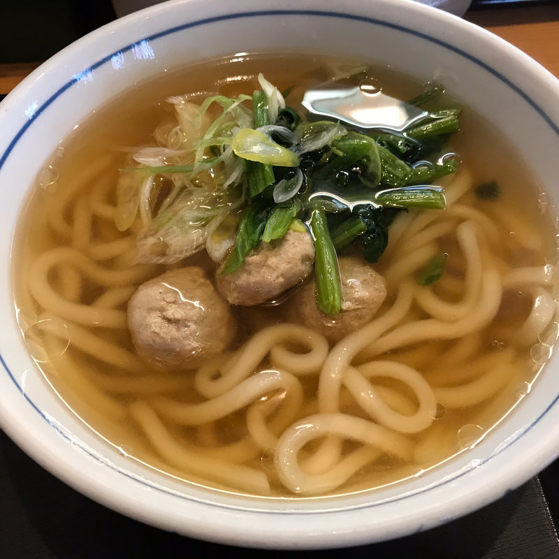 鴨団子がねぎとほうれん草をしょってやってきたうどん～出汁が違うスペシャル～(ウエスト 有田店（うどん）)