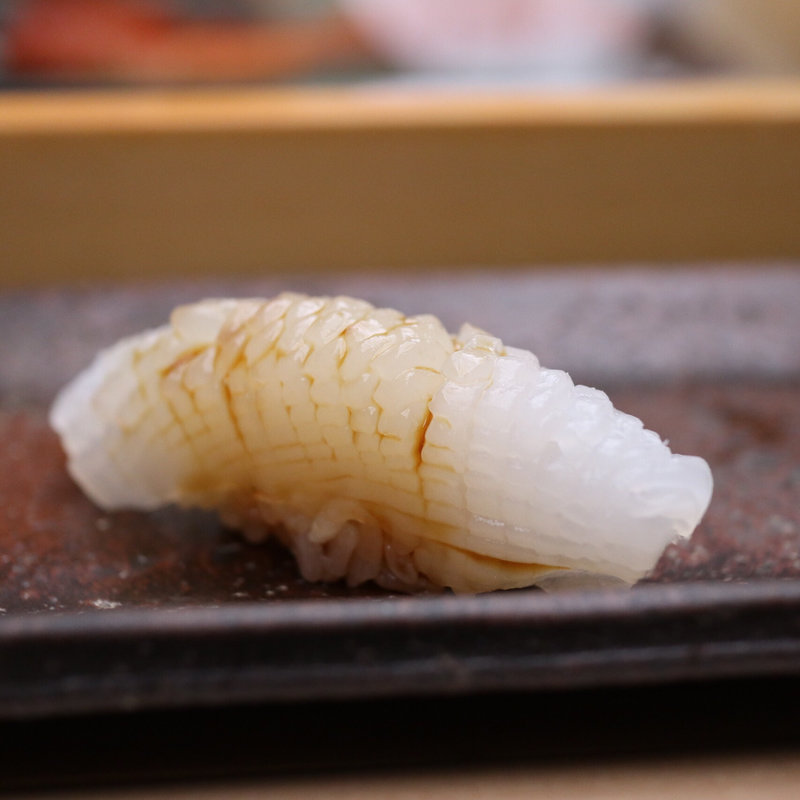 アオリイカ(すし匠)