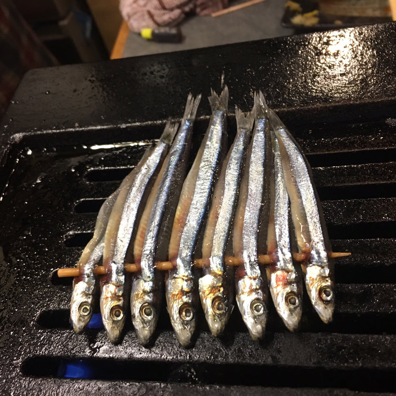 キビナゴ(ハモ肉)