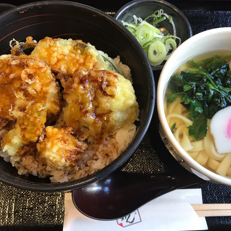 野菜天丼とミニきしめん(宮きしめん ジャスドリーム長島店 )