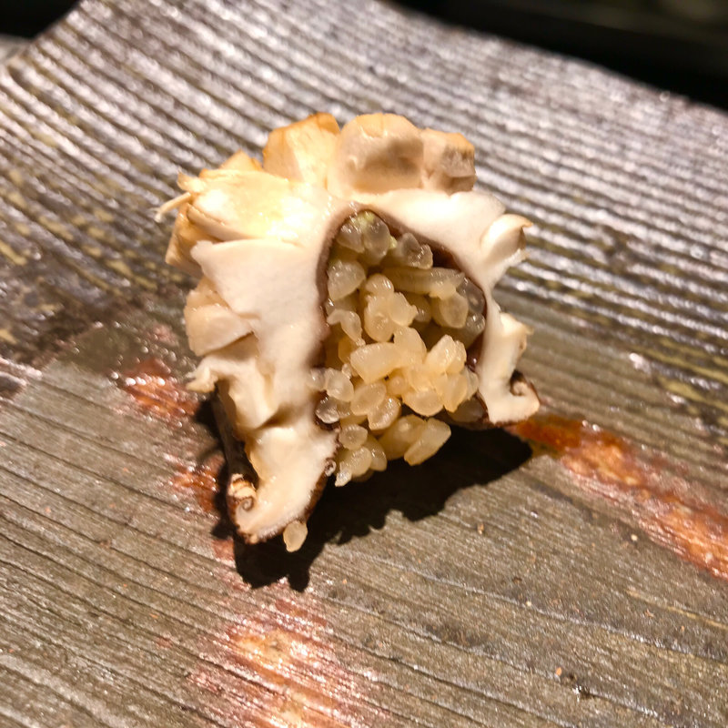 椎茸(鮓木村建介)