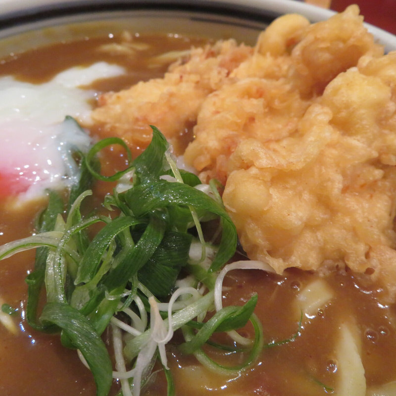 とり天温玉カレー(讃岐うどん四八 )