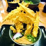 具だくさんうどん(うどん 白木商店)
