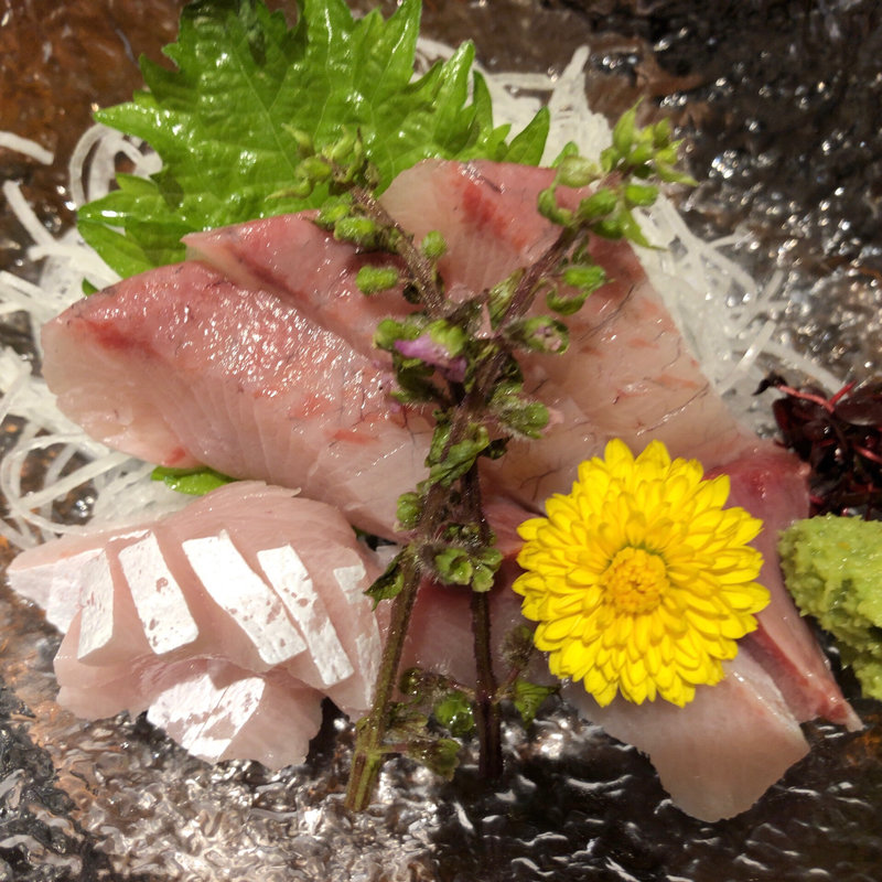 寒ブリの刺身(遊食豚彩 いちにいさん 銀座店)