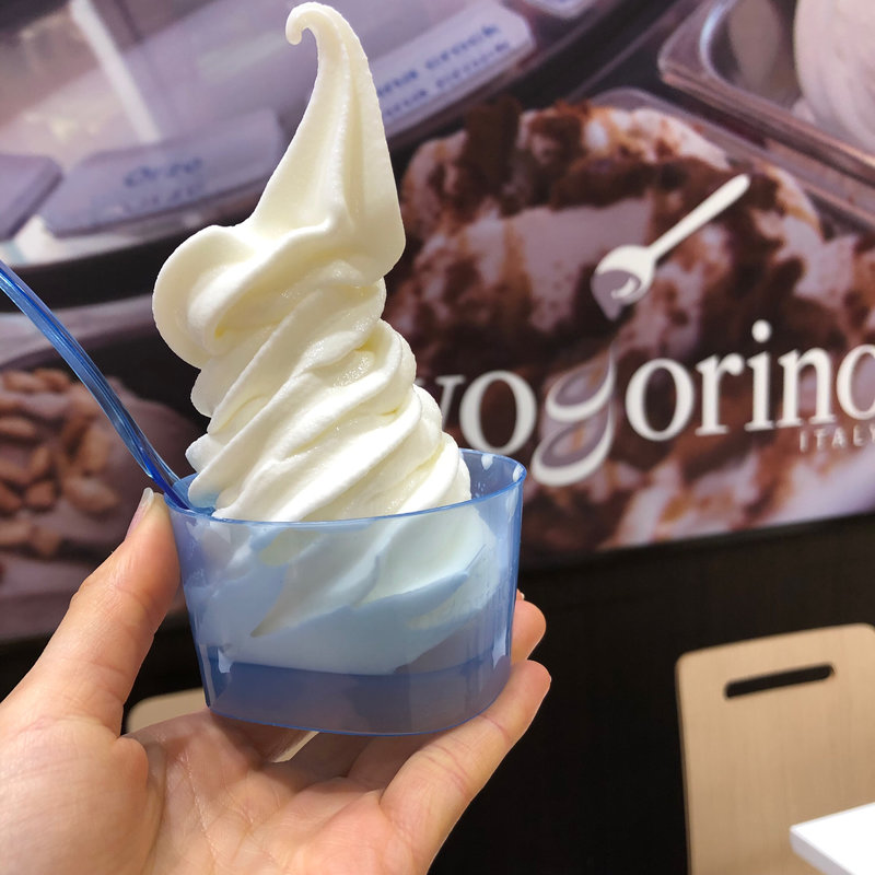 プレーンヨゴリーノ スモール(ヨゴリーノ 横浜ワールドポーターズ店)