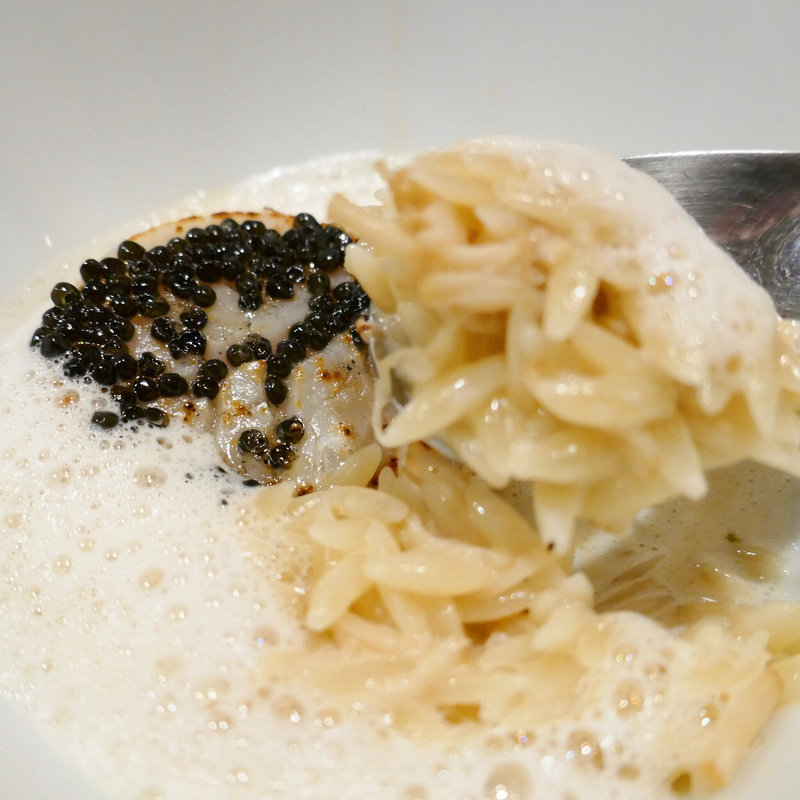 帆立貝"リゾーニ"(セーエヌエフ・マルコンソール)