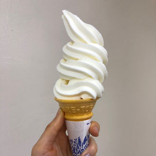 自家製ヨーグルトのヨーグルトソフトクリーム(おおともチーズ工房)