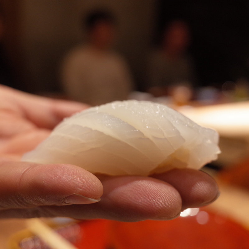 白イカ(初音鮨)