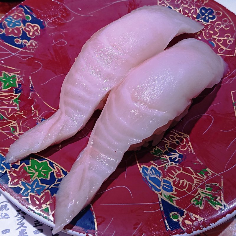 根室産 ぼうず銀宝(回転寿司根室花まる JRタワーステラプレイス店)