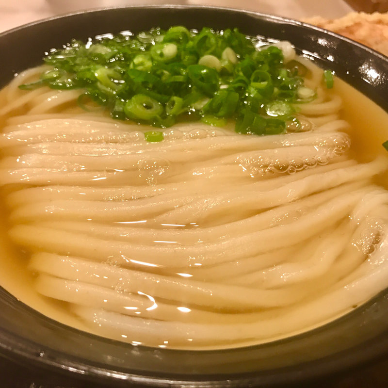 かけうどん中と温玉とちくわ天(丸香)