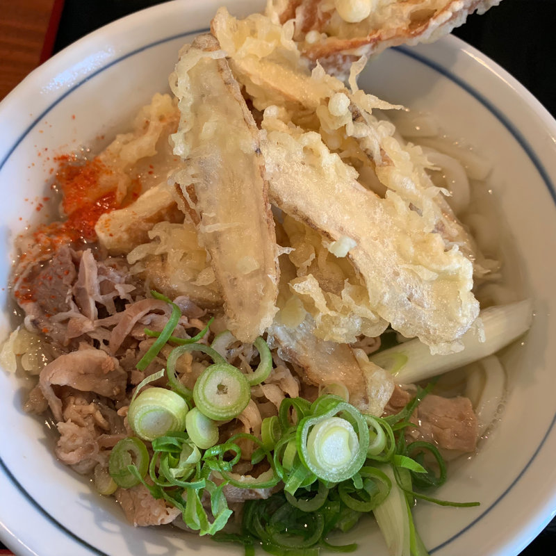 牛蒡天肉うどん(侍．うどん)