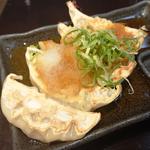 おろポン肉汁鶏餃子（5ヶ）(麺屋 武一 アトレ川崎店)