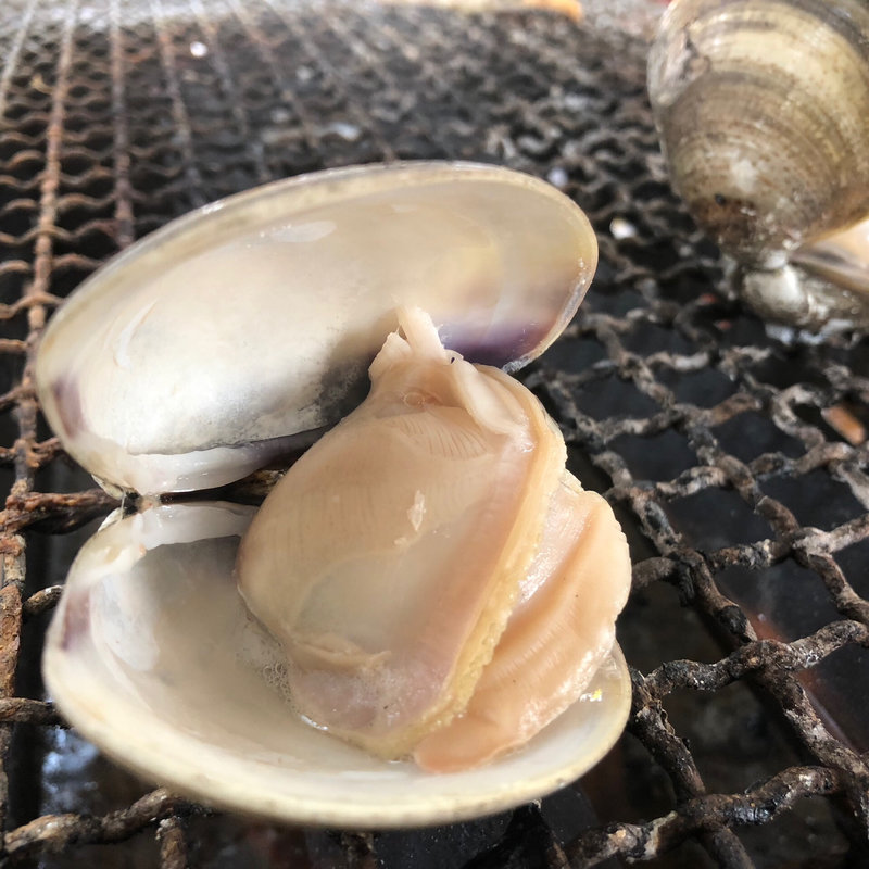 天然はまぐり(牡蠣小屋 住吉丸 )