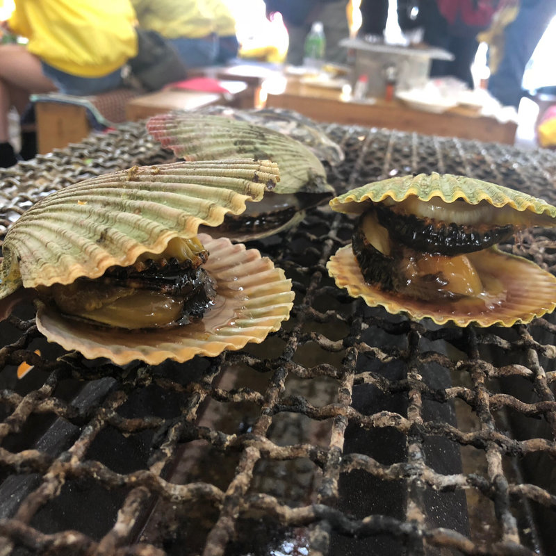 ヒオウギ貝(牡蠣小屋 住吉丸 )