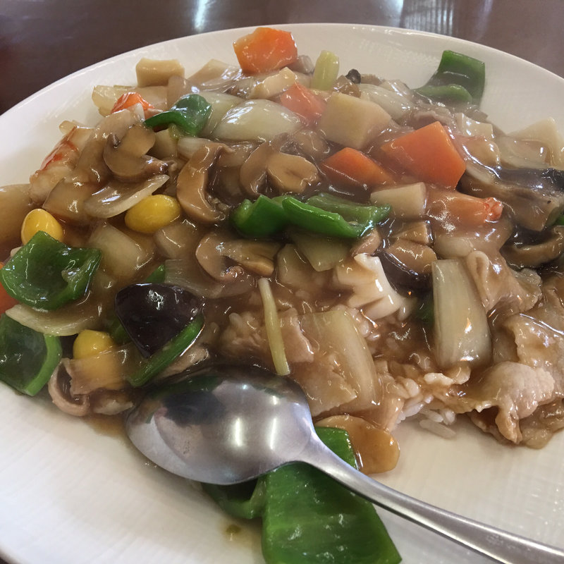 五目かけご飯(雲龍 )