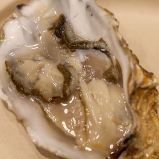 生牡蠣(広島ブランドショップ TAU)