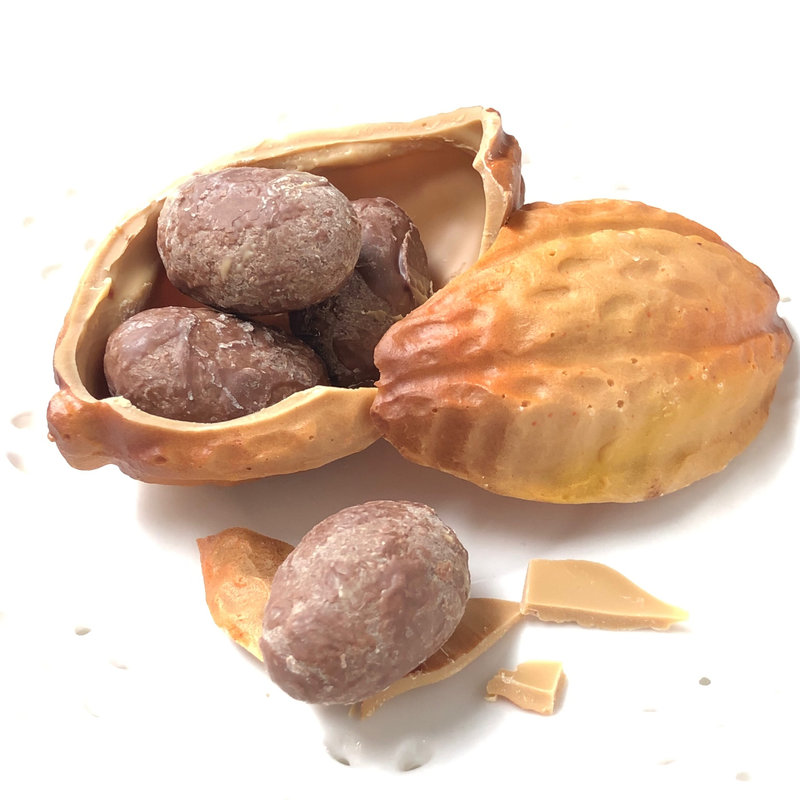 帝国ホテル カカオショコラ キャラメル(サロン・ドュ・ショコラ2019)