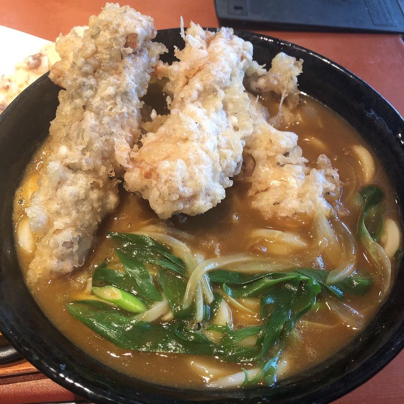 鶏天カレー(はんげしょう )