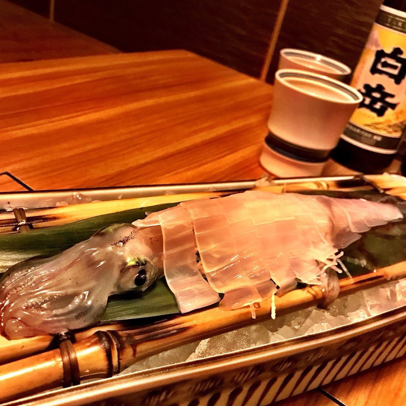 呼子直送　烏賊の活き造り(博多 表邸)