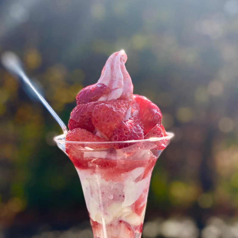 (太陽のいちご)