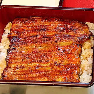 うな重(上)(うなぎ川誠)