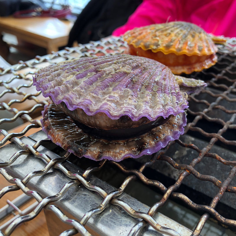 ひおうぎ貝(糸島 牡蠣小屋 服部屋)