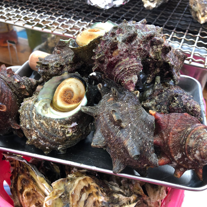 さざえ(糸島 牡蠣小屋 服部屋)